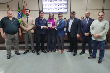 OAB de Ijuí recebe homenagem do Poder Legislativo