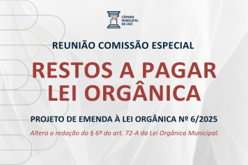 Comissão Especial delibera sobre Projeto de Emenda à Lei Orgânica que ajusta percentuais de restos a pagar de emendas parlamentares