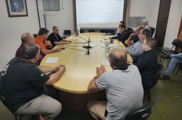 CCJ debate projeto que dispõe sobre a captura, o resgate e a remoção de abelhas e vespas em Ijuí