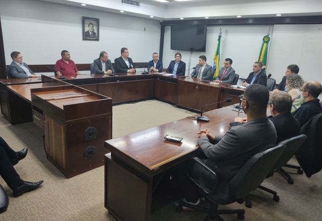 Comitiva de Ijuí busca soluções para segurança pública em Porto Alegre